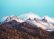 狗子28h5-巴西公布世界杯前最后一轮友谊赛国家队大名单